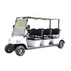 Carro de Golf CGM60